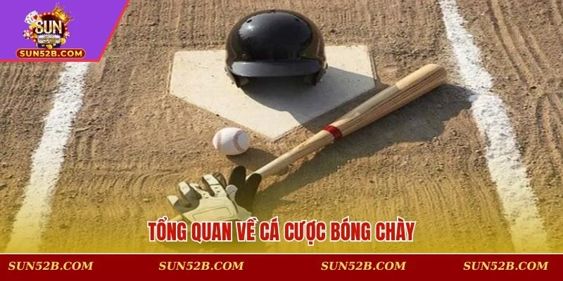 Khái quát về hình thức dự đoán bóng chày