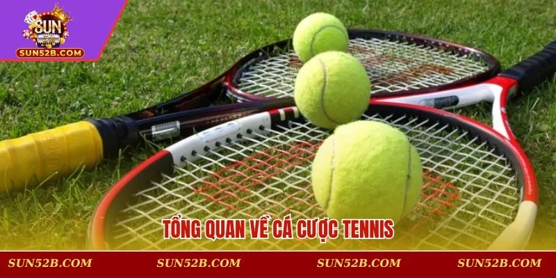 Giới thiệu sơ lược về dự đoán quần vợt